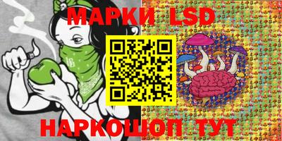 spice Гусь-Хрустальный