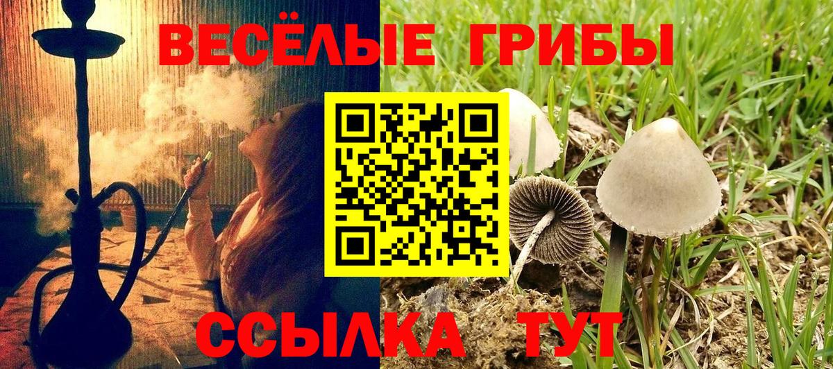 Галлюциногенные грибы мицелий  Вход с VPN  Зеленокумск 